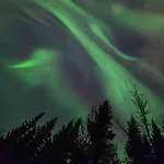 Odins Nest شقة